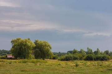 View of meadow with field, forest on horizon and beautiful sky with clouds. Summer landscape.