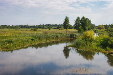 View of a picturesque landscape with a river. Landscape overlooking the riverbed. Overgrown shores