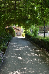 Giardini