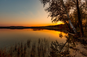 Fototapeta na wymiar trees on lake shore in sunset