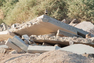 Sunset Regional Park, Las Vegas, NV.
