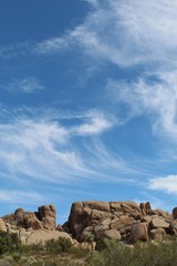 Fototapeta na wymiar In Joshua Tree National Park, unspoiled native plant communities, intricate edifices of rock, and frittering skies symbolize ancient serene magic of the Southern Mojave Desert.
