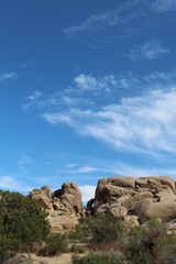Fototapeta na wymiar In Joshua Tree National Park, unspoiled native plant communities, intricate edifices of rock, and frittering skies symbolize ancient serene magic of the Southern Mojave Desert.