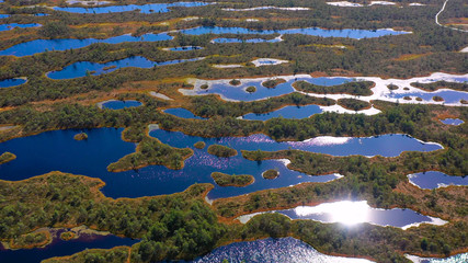 Aerial shooting from the drone. Beautiful landscape with Islands and lake. Turquoise water and beautiful winding shores with coniferous forests and wild beaches.