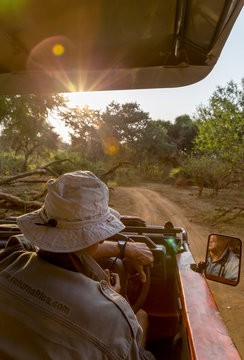 Fototapeta Game ranger driving safari vehicle