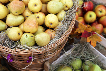 Ripe pears and apples on straw in a wicker baskets decorated with autumn leaves. Harvest holiday, festive decorations, farm market