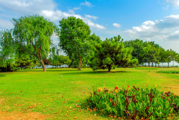 Istanbul, Turkey, 9 July 2008: Fenerbahce Park, Kadikoy.