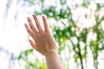 Summer green leaves background with woman hand. Concept