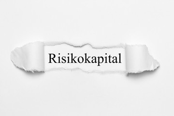 Risikokapital