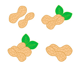 Peanuts isolated set. 4 nutshell compositions with green leaves usable for packaging, banners, posters, cards. Vector illustration