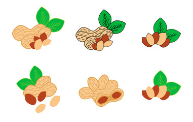 Peanuts collection. Set of six different compositions with nutshells and leaves. Clean colored vector illustrations. Usable for packaging, web banners, posters, cards