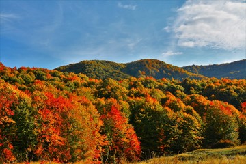 Fototapeta premium autumn landscape in the mountains