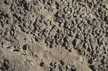 texture of sand