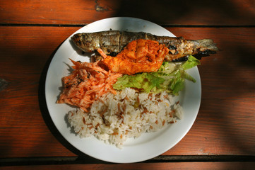 Trout fish and rice on a plate with herbs and carrots. horizontal top view
