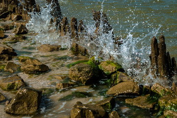 A sea wave with many drops in the sunny summer day