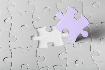 Obraz premium Finishing a Puzzle