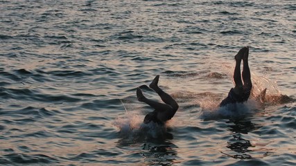 Group of young friends jumping from a pier into the sea during beautiful sunrise, slow motion