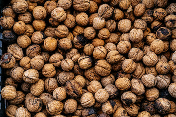 Lots of walnuts like as background