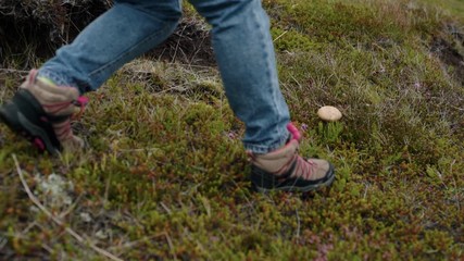 Gardener or traveller picks up wild mushrooms