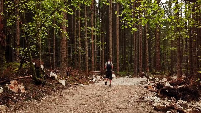 Drone Footage of Man with a Backpack Walking on Isolated Path in the Middle of Green Slovenian Pine Forest in Zgornje Jezersko Slovenia, Europe