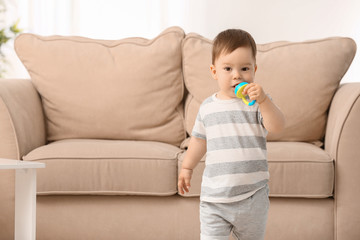 Cute little boy with nibbler at home