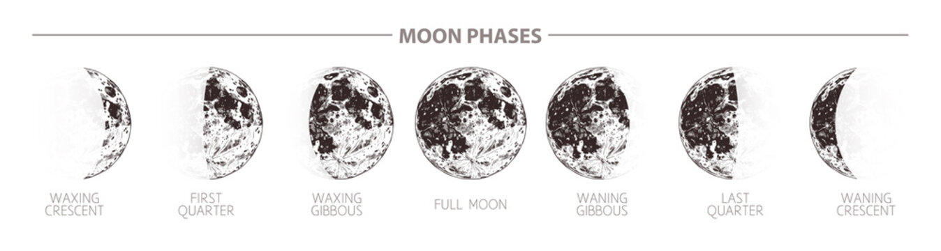 Moon phases hand drawn illustration. Sketch style poster
