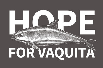 Typography design for International day save the vaquita. Poster with hand drawn sketch Gulf of California harbor porpoise and text hope for vaquita. Protection of wildlife and endangered species