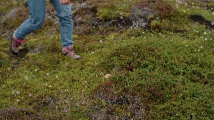 Gardener or traveller picks up wild mushrooms