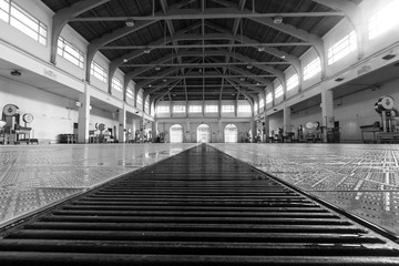 Fish market in the town of Chioggia