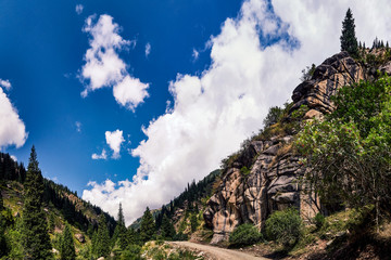 Fototapeta premium Mountain valley in the summer. A fabulous view of the mountain peaks, amazing nature. Mountain forest road. Green mountains with tall fir trees. The road goes up the mountain river