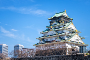 Fototapeta premium Osaka castle in the winter