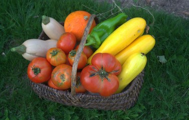 panier de légumes bio du jardin