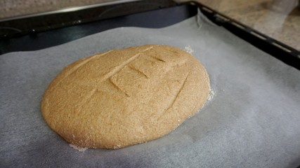 Masa de pan de masa madre antes de hornear