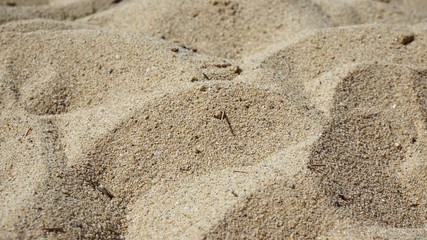 Fondo con textura de arena de playa 