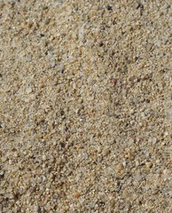 Fondo de arena de playa blanco crudo
