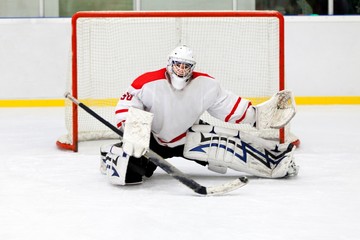 Hockey Goalie During a Game