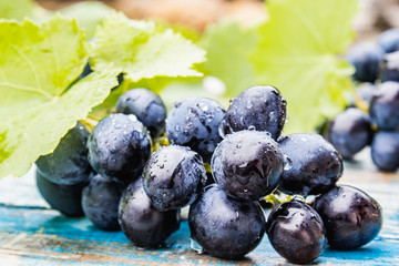Blue grapes with drops of water and green leaves on blue old boards. A bunch of grapes on a wooden table.