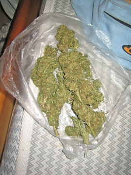 Cannabis cretan bio ganja vintage old school dealers stuff Eckpunkte f&uuml;r neues Gesetz: Wie Cannabis legalisiert werden soll