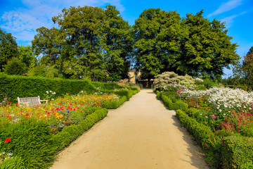 Summer garden path in the UK
