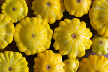 Yellow patisson close-up. Harvesting. Vegetables close-up.