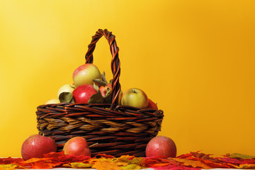 Harvesting. Apples in a basket on autumn leaves on a yellow background.