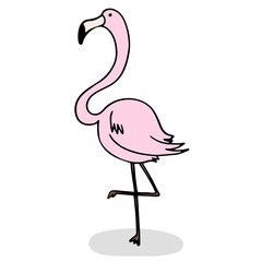 Flamingo stands on one leg with shadow