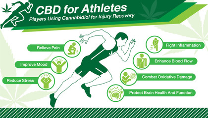 Cannabidiol CBD used for Athletes.Health benefits of Cannabidiol CBD from cannabis, hemp, marijuana, weed effect on body Runner or players. vector infographic on white background.