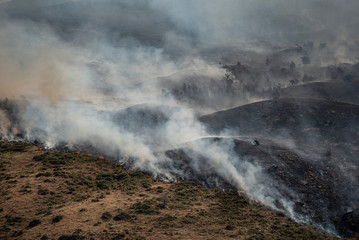 Wildfire or forest fire burning on the hill. Natural disaster on mountain.