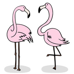 Two flamingos stand next to each other