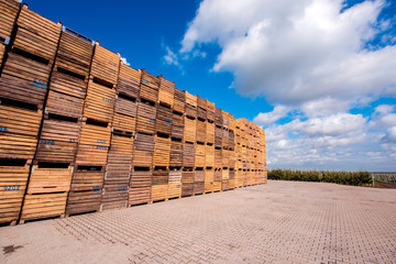 Composition of wooden pallets and boxes on the background of a cloudy sky in a warehouse near an agroindustrial hangar