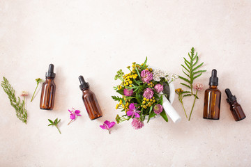 medical flowers herbs in mortar essential oils in bottles. alternative medicine. clover milfoil...