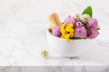 medical flowers herbs in mortar. alternative medicine. clover tansy thyme melissa