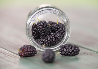 Fototapeta na wymiar Delicious fresh mulberry in jar glass, healthy eating, antioxidant concept