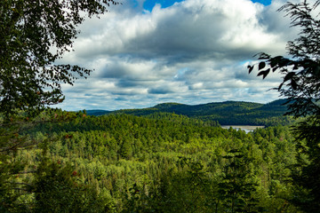 Bat Lake Trail forest and lake scenery